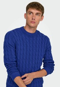 Blå kabelstrikket sweater med rund halsudskæring og ribbede manchetter, prydet med et struktureret mønster og en tætsiddende pasform.