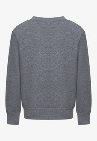 Gray crewneck sweatshirt with long sleeves, soft textured fabric, ribbed cuffs and hem, featuring a plain back design without embellishments.