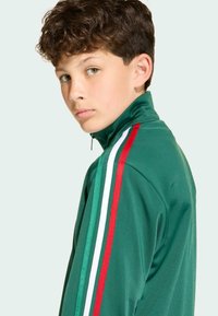 Zelená sportovní bunda s vysokým límcem, na rukávech s bílými a červenými pruhy. Hladký materiál a zapínání na zip.