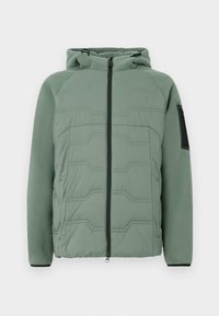 Pasirinkta, open green