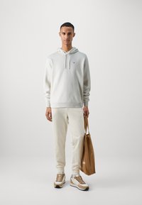 Tommy Jeans FLAG HOODIE - Hoodie - newsprint