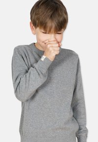 Grå strikket sweater med rund halsudskæring, ribbede manchetter og bund, med et lille mærke på venstre ærme. Glat tekstur.