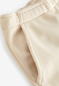 Next HEAVYWEIGHT BRUSHED LINED CUFFED- REGULAR FIT - Pantalones deportivos - neutral