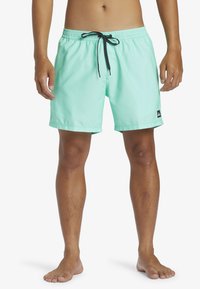 Quiksilver - EVERYDAY SOLID VOLLEY - Zwemshorts - gey Miniatuurafbeelding 1