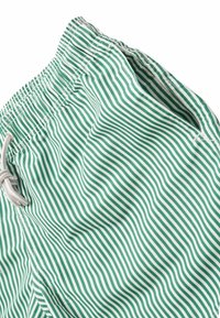 Costume da bagno a strisce verdi e bianche con elastico in vita, cordoncino e tessuto liscio. Presenta tasche laterali e un motivo a onde.