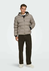 Giacca a puffo grigio chiaro con cappuccio, caratterizzata da ampi segmenti trapuntati, una zip frontale e dettagli neri. Abbinata a jeans marrone scuro e scarpe da ginnastica bianche.