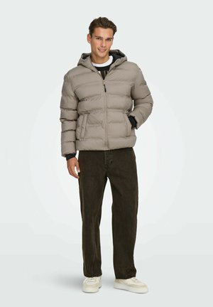 Giacca a puffo grigio chiaro con cappuccio, caratterizzata da ampi segmenti trapuntati, una zip frontale e dettagli neri. Abbinata a jeans marrone scuro e scarpe da ginnastica bianche.