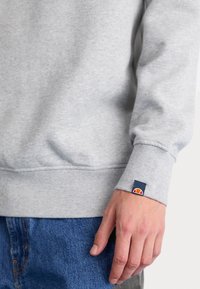 Felpa grigia con rifiniture a costine sui polsini e sull'orlo, dotata di una piccola etichetta logo in rosso e blu. Il materiale sembra morbido e leggermente strutturato.