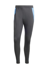 Pantaloni atletici grigi con un design aderente, caratterizzati da accenti blu e una texture liscia. Vita elasticizzata per comfort e mobilità.