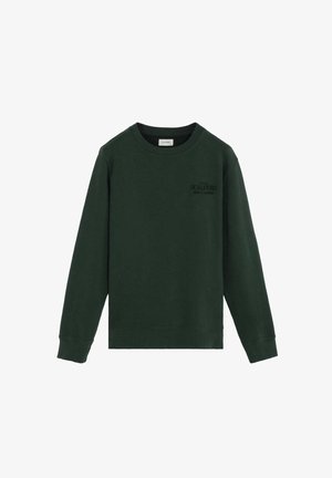 Grüner Baumwollpullover mit langen Ärmeln, Rundhalsausschnitt und einem dezenten Logo auf der Vorderseite, mit einer glatten Textur und regulärer Passform.