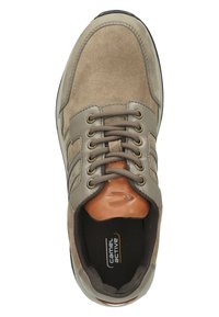 camel active CIRRUS - Sneaker low - taupe