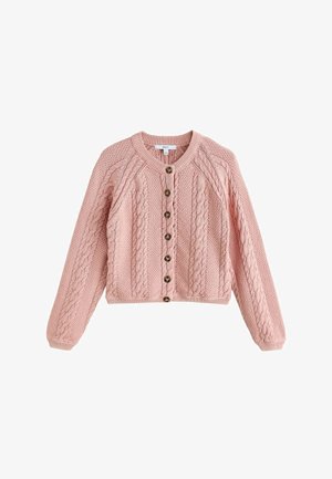 Pink knitted cardigan with cable patterns, round neckline, long sleeves, and six brown buttons down the front.