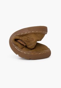 Pisamonas Beebijalatsid - topo