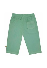 Hellgrüne Baumwollshorts mit elastischem Bund, einer Gesäßtasche und umgeschlagenen Säumen. Einfaches Design mit glatter Textur.