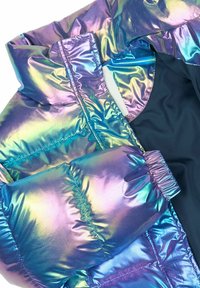 The New PARIS - Zimska jakna - metallic