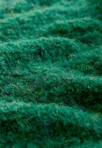 Zelená textúrovaná tkanina s vlnitým povrchom, ktorá obsahuje mäkké, chĺpkové vlákna a zmesové vlákna, s jemnými farebnými bodkami rozptýlenými po celej ploche.