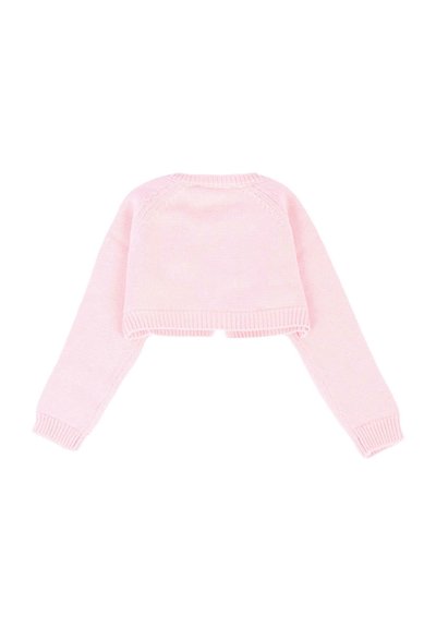 Maglione rosa cropped con maniche lunghe, polsini e scollatura a coste. Tessuto liscio, design semplice e aspetto minimal.