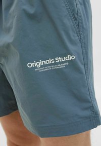 Jack & Jones JPSTNAXOS VESTERBRO - Kopalne hlače - stormy weather