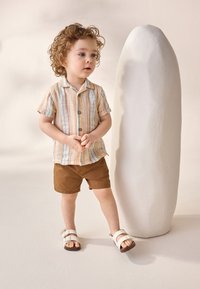 Collared short-sleeve shirt with multicolored stripes, brown shorts, and white sandals. Standing next to a smooth, rounded sculpture.