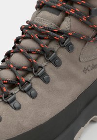 Columbia NEWTON ALPINE PT - Fjellsko - kettle/tangy orange