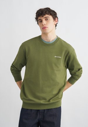 Joven de pie con las manos detrás de la espalda, vistiendo un sudadera verde oliva con el logo de "Dickies" y pantalones azul oscuro frente a un fondo liso.
