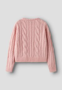 Roze kabelgebreide trui met een cropped lengte, geribde manchetten en zoom, en een gestructureerd patroon van in elkaar verweven kabels over de achterkant.