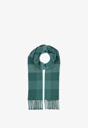 Tamsiai žalias patikrintas šalikas su frakcinėmis kraštinėmis, minkšta tekstūra ir logotipu. Dizainas apima pakaitomis tamsias ir šviesias juostas.