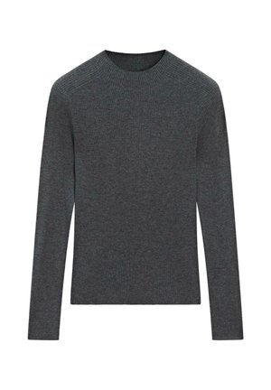 Massimo Dutti, RIBBED MOCK NECK KNIT SWEATER - Pullover - dark grey