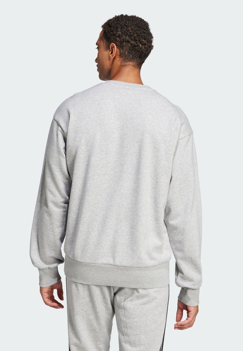 Gray sweatshirt made of soft fabric, featuring a crew neck, long sleeves, and ribbed cuffs and hem. Back view shows relaxed fit.