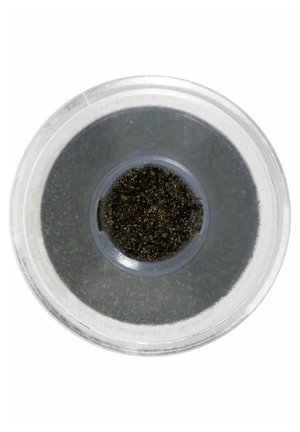 HOLOGRAPHIC PIGMENTS - Eyeshadow - chameleon