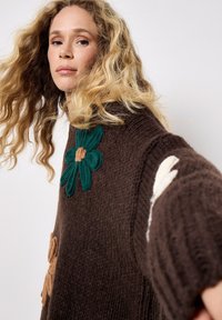 Apricot EMBROIDERED FLOWER  - Strickpullover - brown