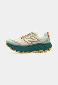 FRESH FOAM X HIERRO V9 - Trail running shoes - calcium