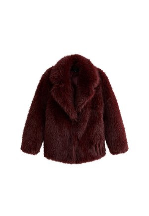 New Look Curves Chaqueta de invierno - burgundy