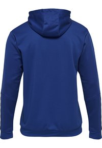 Blauwe hoodie van een gestructureerde stof, met een trekkoordcapuchon en lange mouwen. Accentstrepen langs de mouwen. Gladde afwerking.