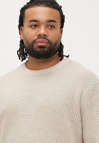 Maglione a maglia color beige chiaro con motivo traforato testurizzato. Presenta una scollatura rotonda e polsini a coste. Nessun marchio visibile.