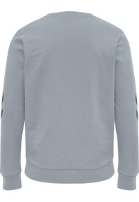 Felpa grigia chiara con colletto a girocollo, maniche lunghe, polsini e orlo a coste. Presenta strisce nere decorative sulle maniche. Texture liscia.