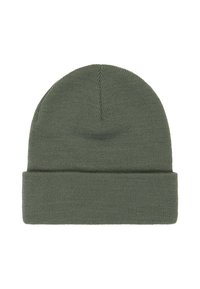 Berretto a maglia verde con risvolto, caratterizzato da una texture liscia e una parte superiore arrotondata. Leggero e adatto per un look casual.