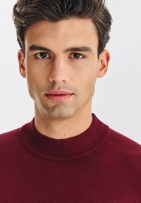 Bordowy sweter z prążkowanym, wysokim kołnierzem. Gładka tekstura i dopasowany krój, z równym ściegiem i minimalnymi zdobieniami.