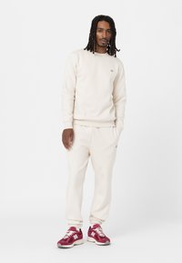 Dickies MAPLETON - Jogginghose - whitecap gray
