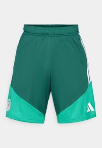 ALGERIA 26 TRAINING - Squadra nazionale - team dark green