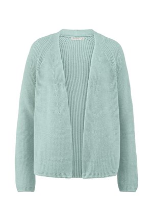 hessnatur REGULAR - Cardigan - mint