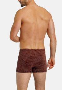 HAASIS Bodywear 1919 OHNE EINGRIFF 2ER PACK - Boxer Briefs - schwarz print