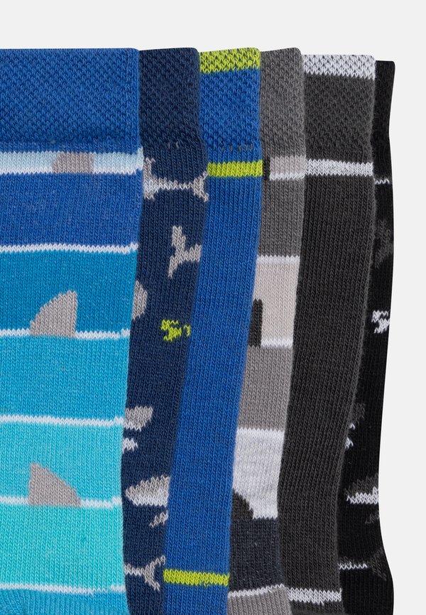 KIDSSOCKS SHARK 6 PACK - Socks2