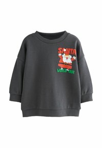 Szara bluza z okrągłym dekoltem, luźnym krojem i ribbowymi mankietami. Posiada nadrukowany wzór Świętego Mikołaja oraz tekst "SANTA WORLD TOUR" w kolorze czerwonym i zielonym.