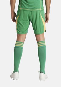 Pantaloni sportivi verdi da calcio con accenti gialli ai lati, abbinati a calze verdi al ginocchio con tre strisce orizzontali. Le scarpe bianche completano l'outfit.