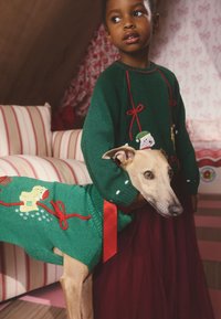 Pulls verts en tricot pour un enfant et un chien, avec des accents rouges et une broderie festive. L'enfant porte une longue jupe rouge.