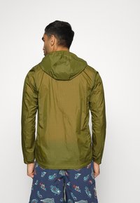 Patagonia HOUDINI  - Corta-vento - palo green