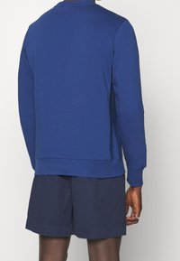 Sudadera azul de manga larga y cuello redondo, hecha de tela suave. Cuenta con puños y dobladillo acanalados, llevada sobre pantalones cortos oscuros.