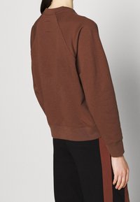 Sudadera marrón con mangas raglán y dobladillo acanalado, mostrada desde atrás. Presenta un cuello redondo y un detalle de costura mínima.