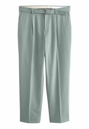 Tailored trousers in soft mint green fabric with front pleats, a belt loop waistband, and a zip fly. Smooth texture enhances versatility.